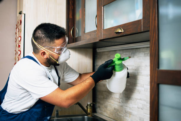 Best Local Pest Control Services  in Shelby, OH