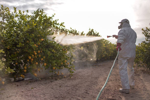 Best Mosquito Control Services  in Shelby, OH