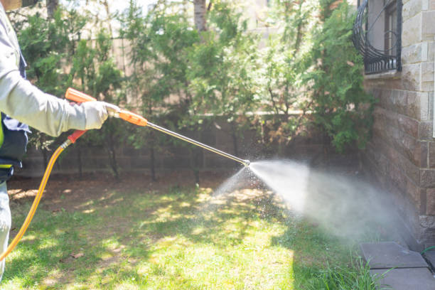 Best Best Pest Control Companies  in Shelby, OH